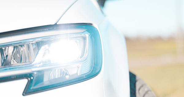 Comment chasser les martres de votre voiture ? Voici comment faire !